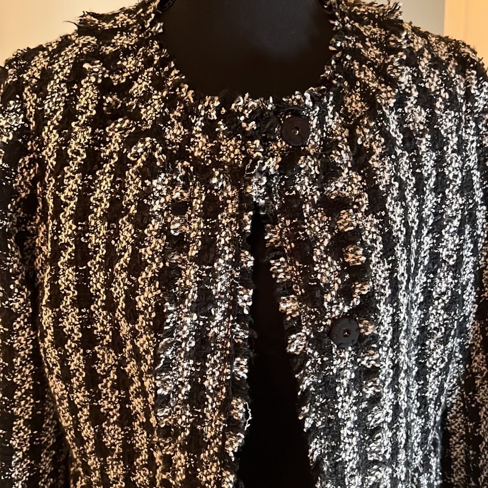 Ann Taylor Blazer